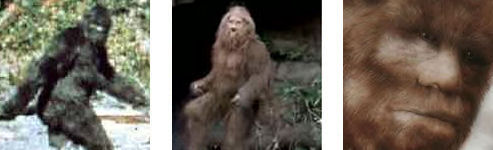 Bigfoot