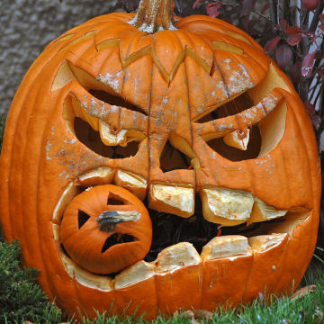 Pumpkin Craft Ideas Kids on Togethers  Fun Ghosts  Witches  Skeletons And Pumpkin Carving Ideas