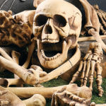 Halloween Props