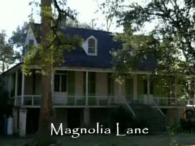 Magnolia Lane