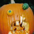 Puking Pumpkins