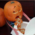 Puking Pumpkins
