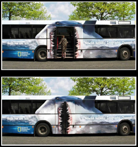 Scary Bus Accident