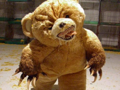 teddy-bear.jpg