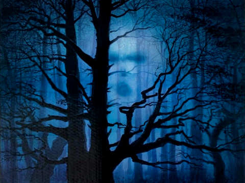Watcher in the Woods is a scary movie for kids directed by John Hough who 
