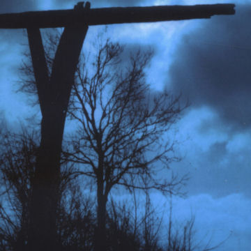 Withered