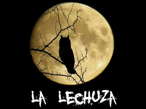 Lechuza
