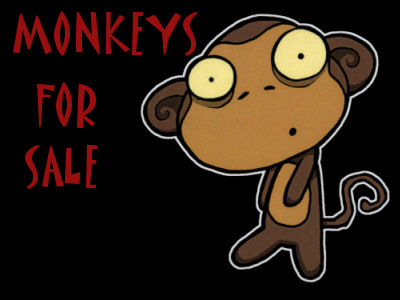 Monkeys For Sale