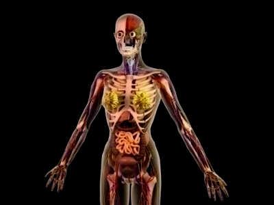 Scary Facts About The Human Body